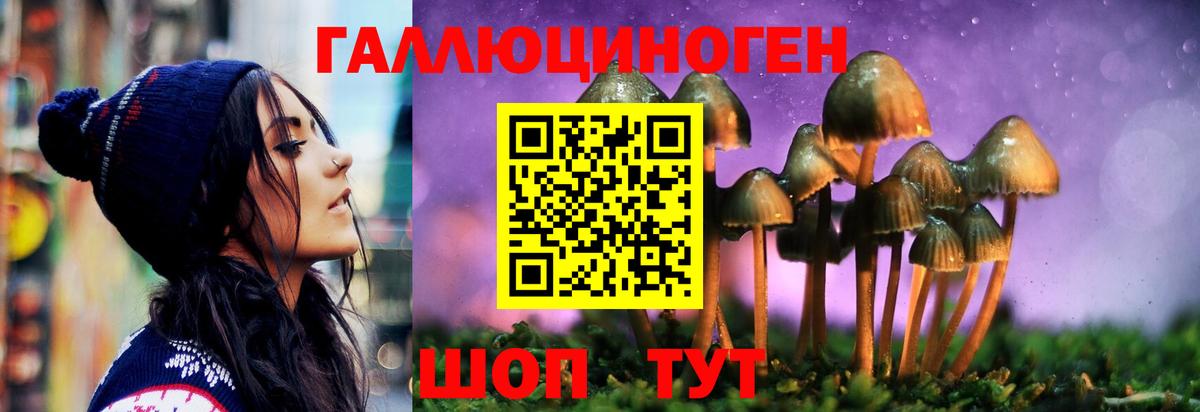 Гусь-Хрустальный  Псилоцибиновые грибы ЛСД  Вход с VPN  Псилоцибиновые грибы GOLDEN TEACHER 