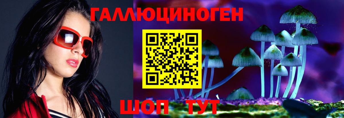 Псилоцибиновые грибы прущие грибы Гусь-Хрустальный